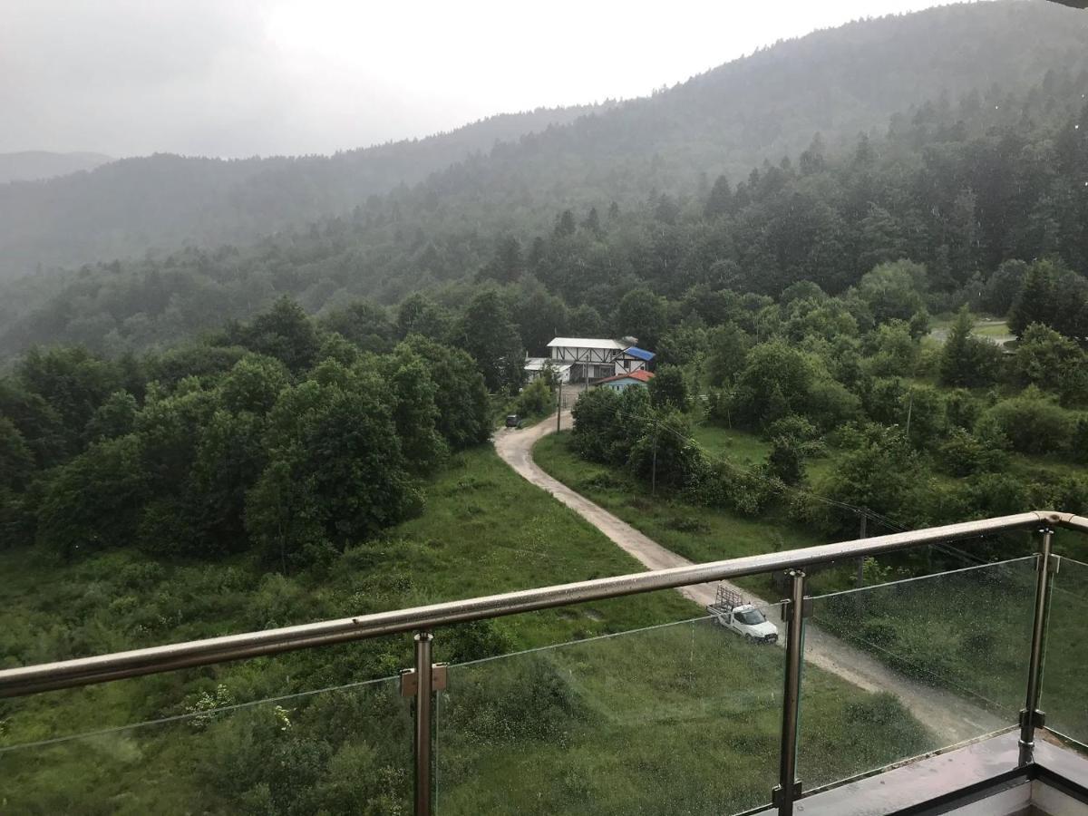 Mountain Residence Sinaia Bagian luar foto