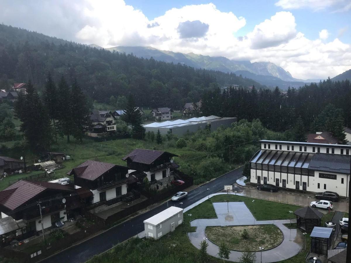 Mountain Residence Sinaia Bagian luar foto