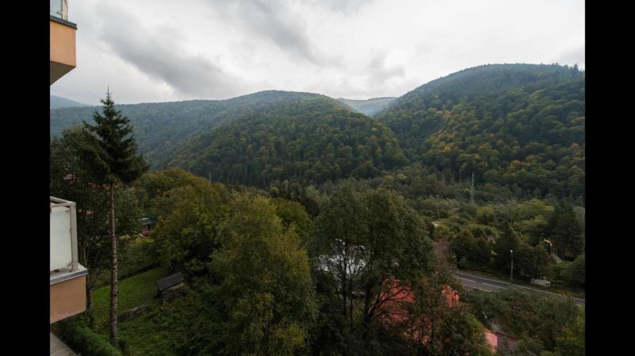 Mountain Residence Sinaia Bagian luar foto