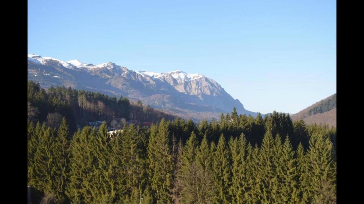 Mountain Residence Sinaia Bagian luar foto