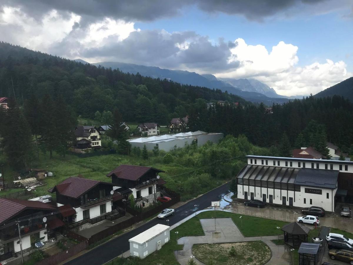 Mountain Residence Sinaia Bagian luar foto