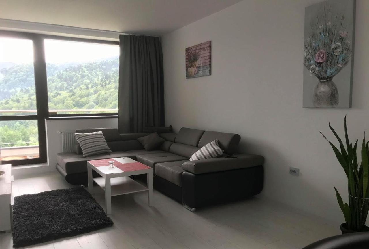 Mountain Residence Sinaia Bagian luar foto